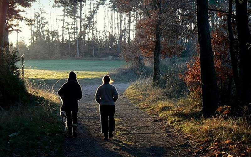 Le compte à rebours fin