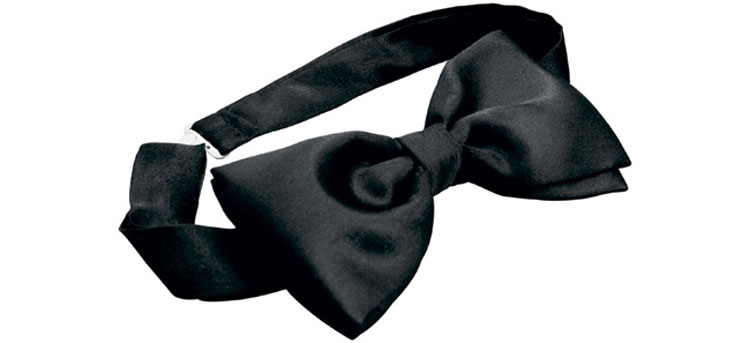 Le nœud papillon au mariage Le nœud papillon au mariage